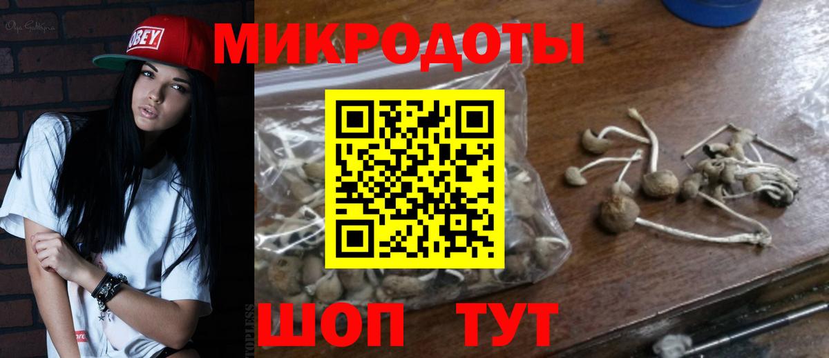 Галлюциногенные грибы Psilocybine cubensis  Псилоцибиновые грибы ЛСД  Волгодонск  Вход с VPN 