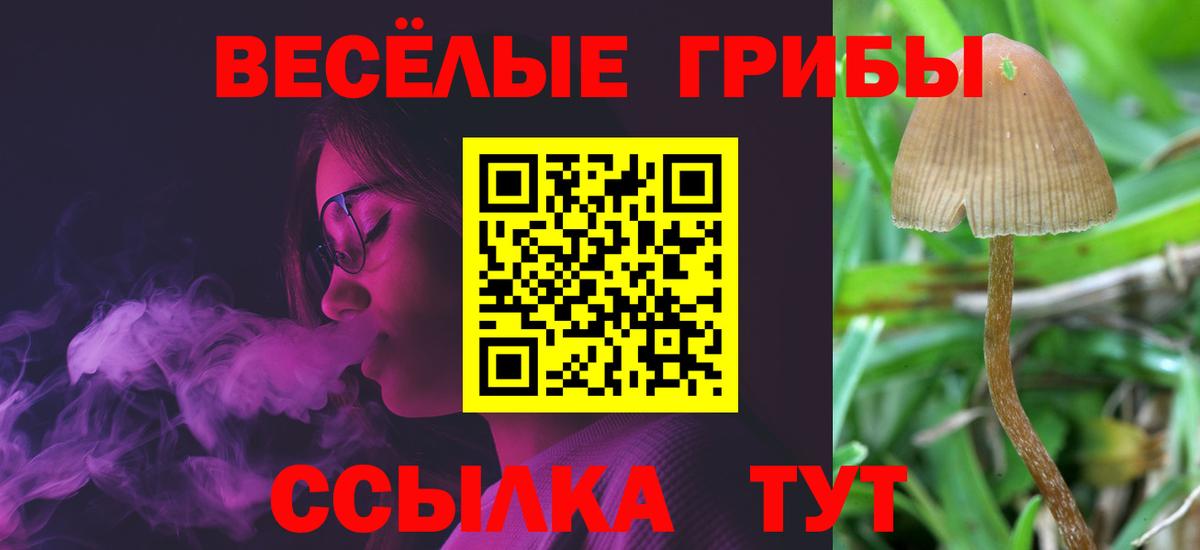 Галлюциногенные грибы ЛСД Волгодонск